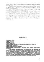 Referāts 'Āfrika', 31.