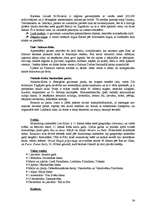 Referāts 'Āfrika', 34.