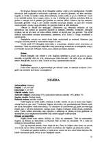 Referāts 'Āfrika', 35.