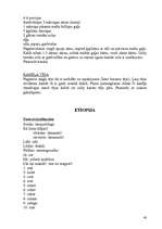 Referāts 'Āfrika', 40.