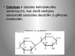 Prezentācija 'Celulozes ražošanas tehnoloģijas', 2.