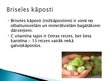 Prezentācija 'Kāpostu dārzeņi', 9.