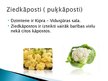Prezentācija 'Kāpostu dārzeņi', 11.