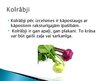 Prezentācija 'Kāpostu dārzeņi', 13.