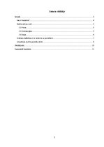 Referāts 'Grāmatas nozīme manu vienaudžu dzīvē', 2.