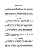 Referāts 'Grāmatas nozīme manu vienaudžu dzīvē', 5.