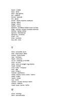 Konspekts 'Žargonismi', 13.