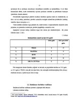 Referāts 'Reklāmas vēsturiskā attīstība', 13.