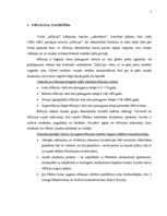 Referāts 'Inflācija, tās iemesli un sekas Latvijā', 5.