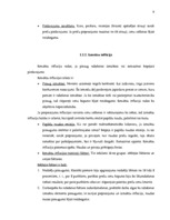 Referāts 'Inflācija, tās iemesli un sekas Latvijā', 9.