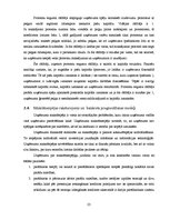 Diplomdarbs 'Uzņēmumu "Tele2" un "LMT" finanšu rādītāju analīze un maksātspējas prognozēšana', 23.