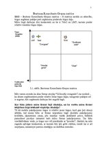 Referāts 'Uzņēmuma "TDM" mārketinga vides un stratēģijas analīze un darbības plānošana', 11.