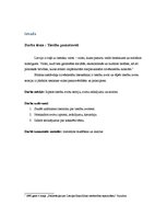 Referāts 'Tiesību pamatavoti', 3.