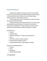 Referāts 'Tiesību pamatavoti', 6.