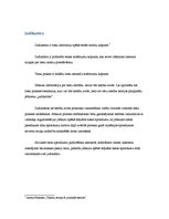 Referāts 'Tiesību pamatavoti', 8.