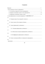 Referāts 'Бухгалтерская отчётность как основа финансового баланса', 1.