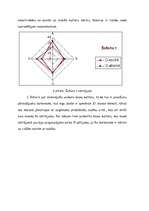 Referāts 'Organizācijas kultūra', 3.