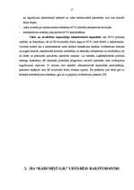 Diplomdarbs 'SIA "Kārumiņš G.R." saimnieciskās darbības analīze un attīstības iespēju izpēte ', 17.