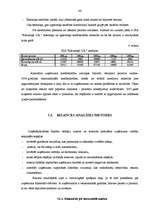 Diplomdarbs 'SIA "Kārumiņš G.R." saimnieciskās darbības analīze un attīstības iespēju izpēte ', 46.