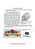 Referāts 'Sagatavju pirmapstrāde', 6.