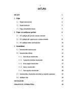 Referāts 'Peļņa un rentabilitāte', 2.