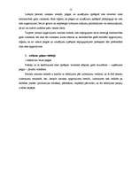 Referāts 'Peļņa un rentabilitāte', 12.