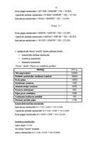 Referāts 'Peļņa un rentabilitāte', 25.