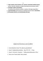 Referāts 'Peļņa un rentabilitāte', 28.