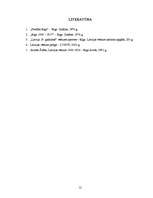 Referāts 'Rīga 18.-19.gadsimtā', 12.