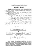 Konspekts 'Pārvaldes teorija', 7.