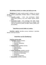 Konspekts 'Pārvaldes teorija', 26.