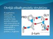 Prezentācija 'Olbaltumvielas', 11.