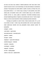 Referāts 'Personība un kultūra', 6.