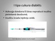 Prezentācija 'Langerhansa saliņu šūnu injekcija', 4.