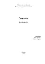 Referāts 'Ūdeņradis', 1.