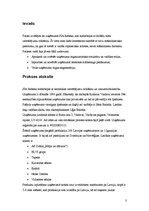 Prakses atskaite 'Prakse SIA "Rebeka"', 3.