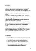 Prakses atskaite 'Prakse SIA "Rebeka"', 11.