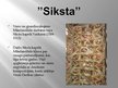 Prezentācija 'Mikelandželo', 9.
