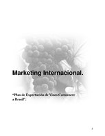 Referāts 'Plan de Exportación de Vinos Carmenere a Brasil', 1.