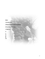 Referāts 'Plan de Exportación de Vinos Carmenere a Brasil', 2.