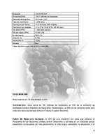 Referāts 'Plan de Exportación de Vinos Carmenere a Brasil', 7.