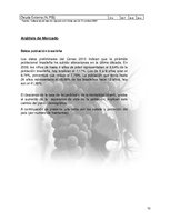 Referāts 'Plan de Exportación de Vinos Carmenere a Brasil', 9.