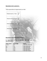 Referāts 'Plan de Exportación de Vinos Carmenere a Brasil', 11.