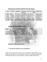 Referāts 'Plan de Exportación de Vinos Carmenere a Brasil', 20.