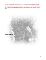Referāts 'Plan de Exportación de Vinos Carmenere a Brasil', 29.
