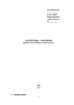 Paraugs 'Atslēdznieka-santehņika darba aizsardzības instrukcija', 1.