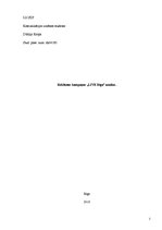 Referāts 'Reklāmas kampaņas "Live Rīga" analīze', 1.