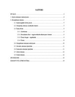 Referāts 'Smaiļošanas tehnikas analīze', 1.