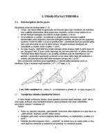 Referāts 'Smaiļošanas tehnikas analīze', 6.