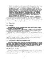 Referāts 'Smaiļošanas tehnikas analīze', 7.